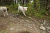 2009-10-03_ntb_9586