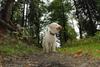 2009-10-03_ntb_9587