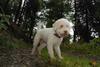 2009-10-03_ntb_9588
