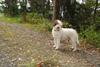 2009-10-03_ntb_9589