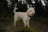 2009-10-03_ntb_9590