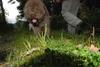 2009-10-03_ntb_9592