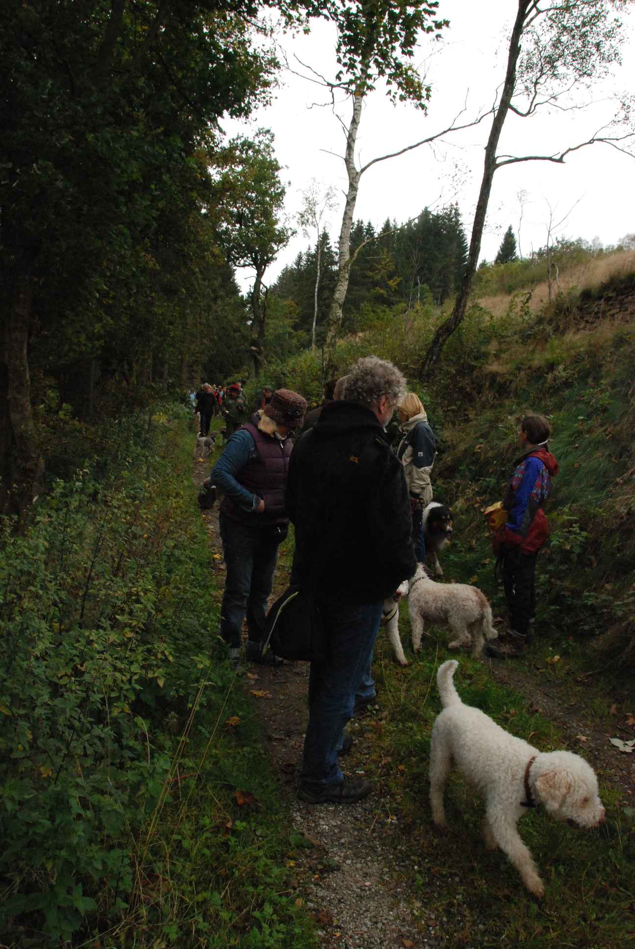2009-10-03_ntb_9593