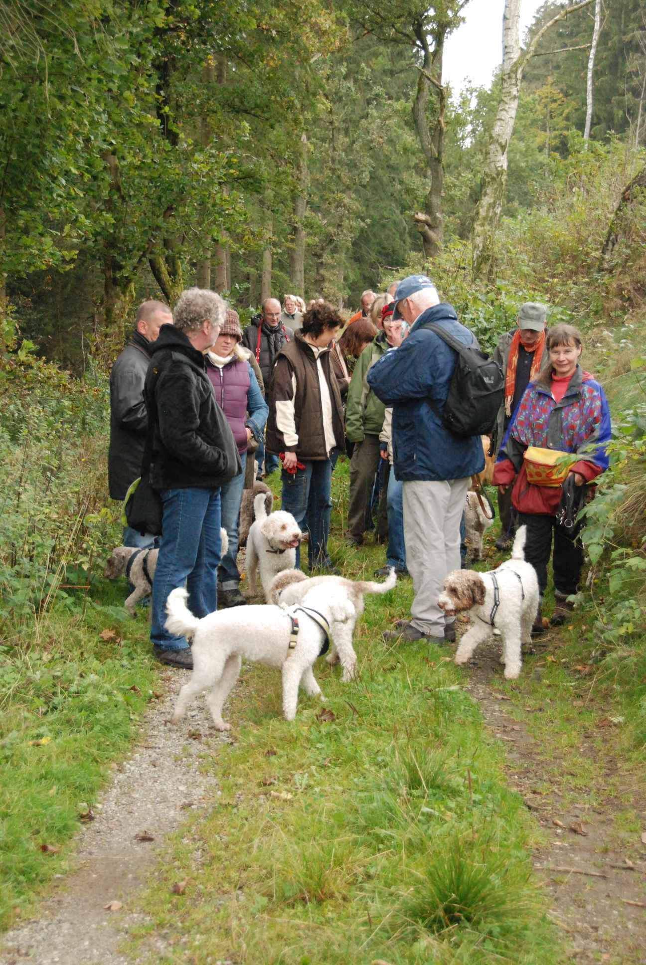 2009-10-03_ntb_9596