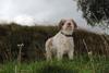 2009-10-03_ntb_9602