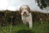 2009-10-03_ntb_9603