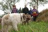 2009-10-03_ntb_9604