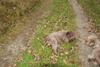 2009-10-03_ntb_9605