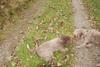 2009-10-03_ntb_9606