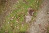 2009-10-03_ntb_9607