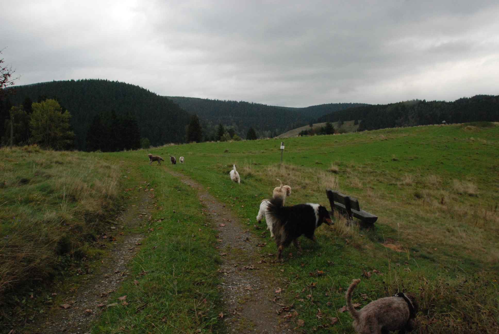 2009-10-03_ntb_9608
