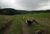 2009-10-03_ntb_9608
