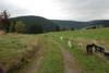 2009-10-03_ntb_9609