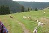 2009-10-03_ntb_9611