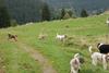 2009-10-03_ntb_9612
