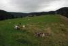 2009-10-03_ntb_9615