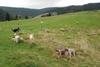 2009-10-03_ntb_9616