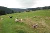 2009-10-03_ntb_9617