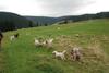 2009-10-03_ntb_9618