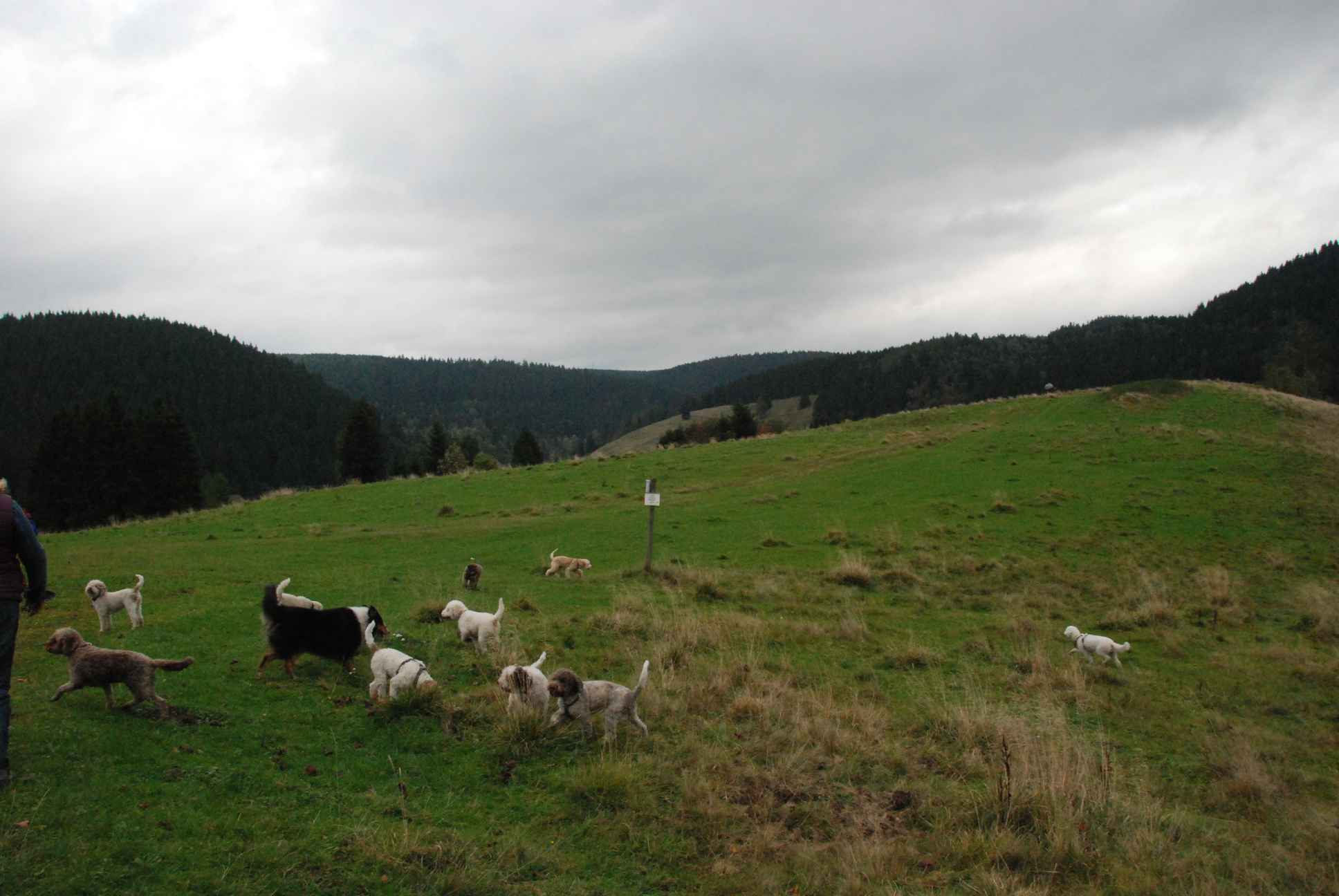 2009-10-03_ntb_9619