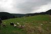 2009-10-03_ntb_9619