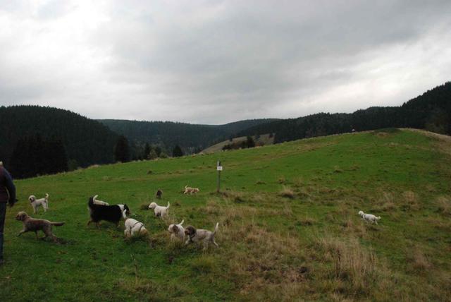 2009-10-03_ntb_9619