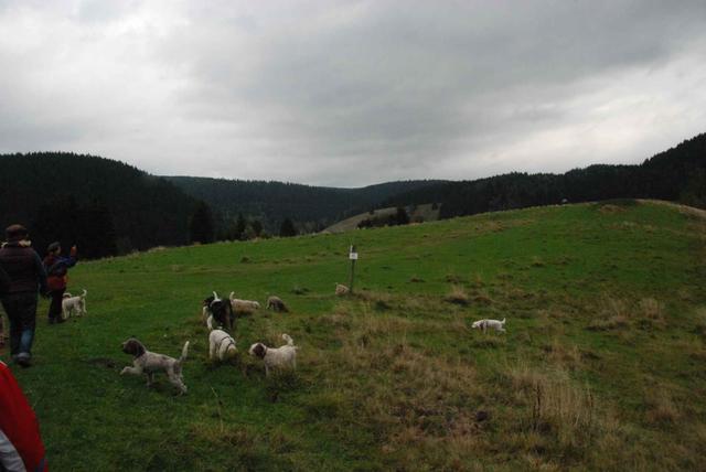 2009-10-03_ntb_9620