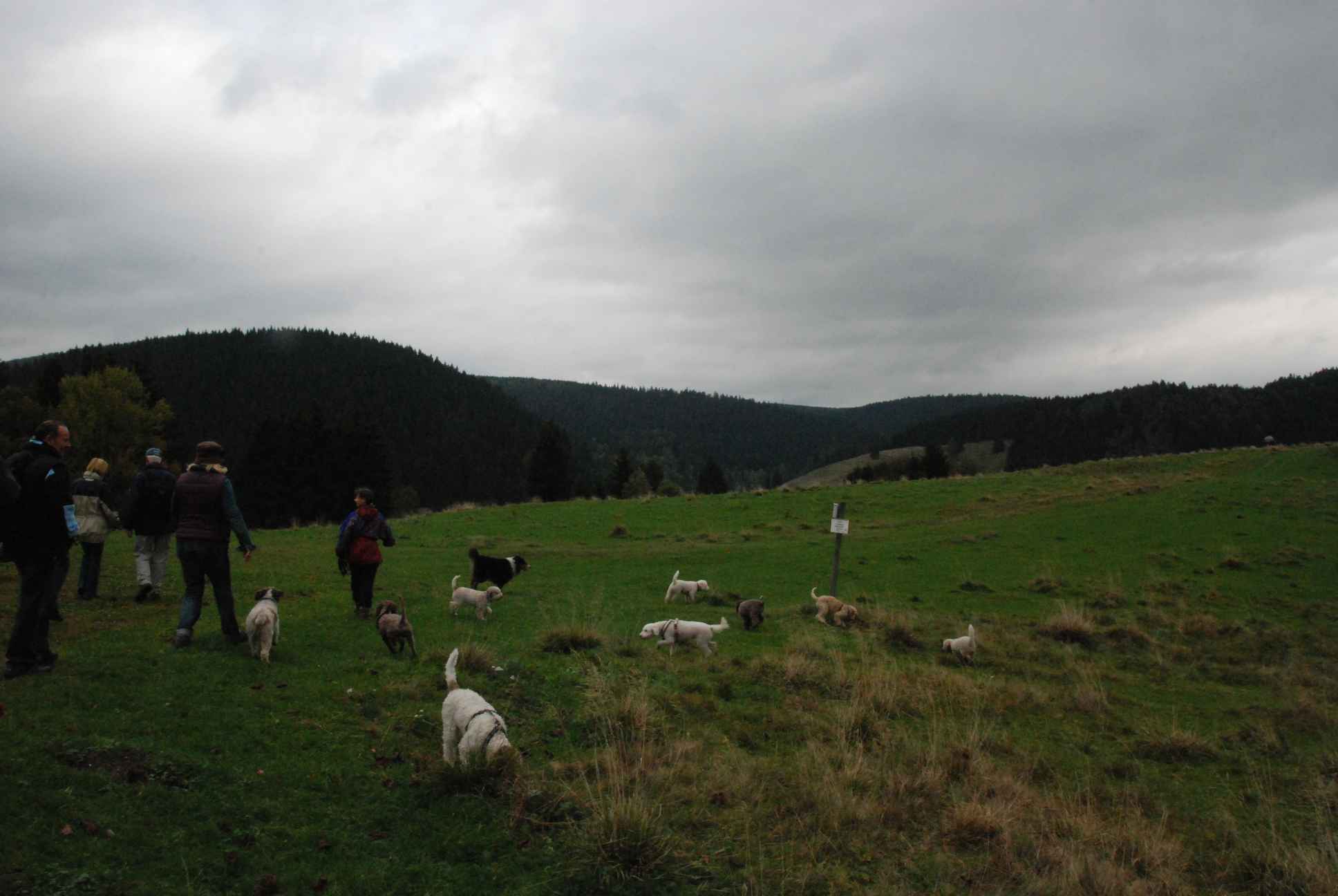 2009-10-03_ntb_9621