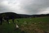 2009-10-03_ntb_9621