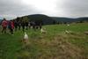 2009-10-03_ntb_9623