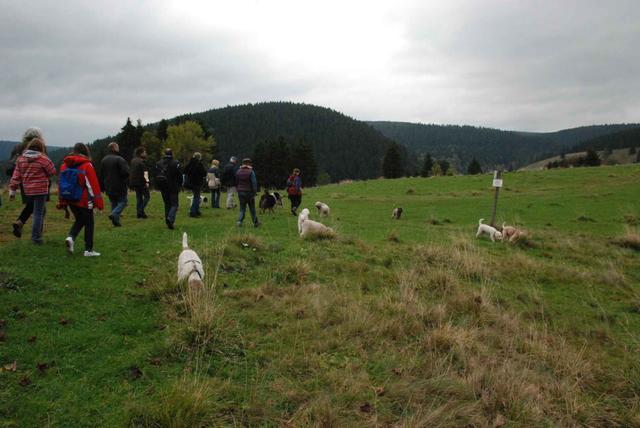 2009-10-03_ntb_9623