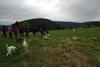 2009-10-03_ntb_9624