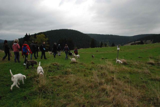 2009-10-03_ntb_9624