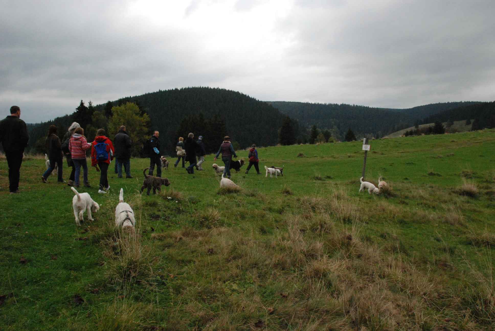 2009-10-03_ntb_9625
