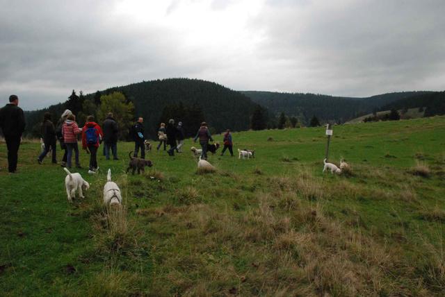 2009-10-03_ntb_9625