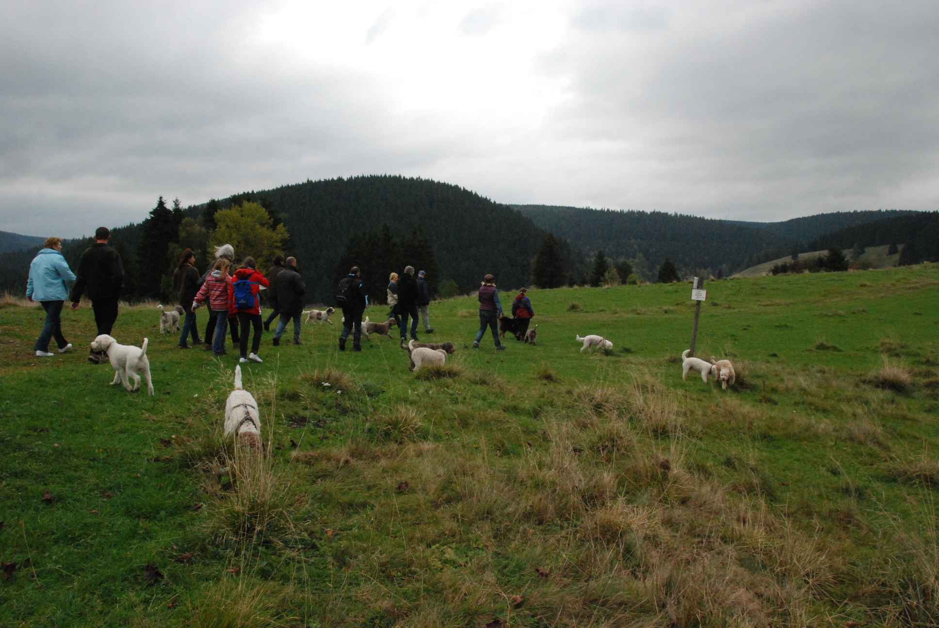 2009-10-03_ntb_9626