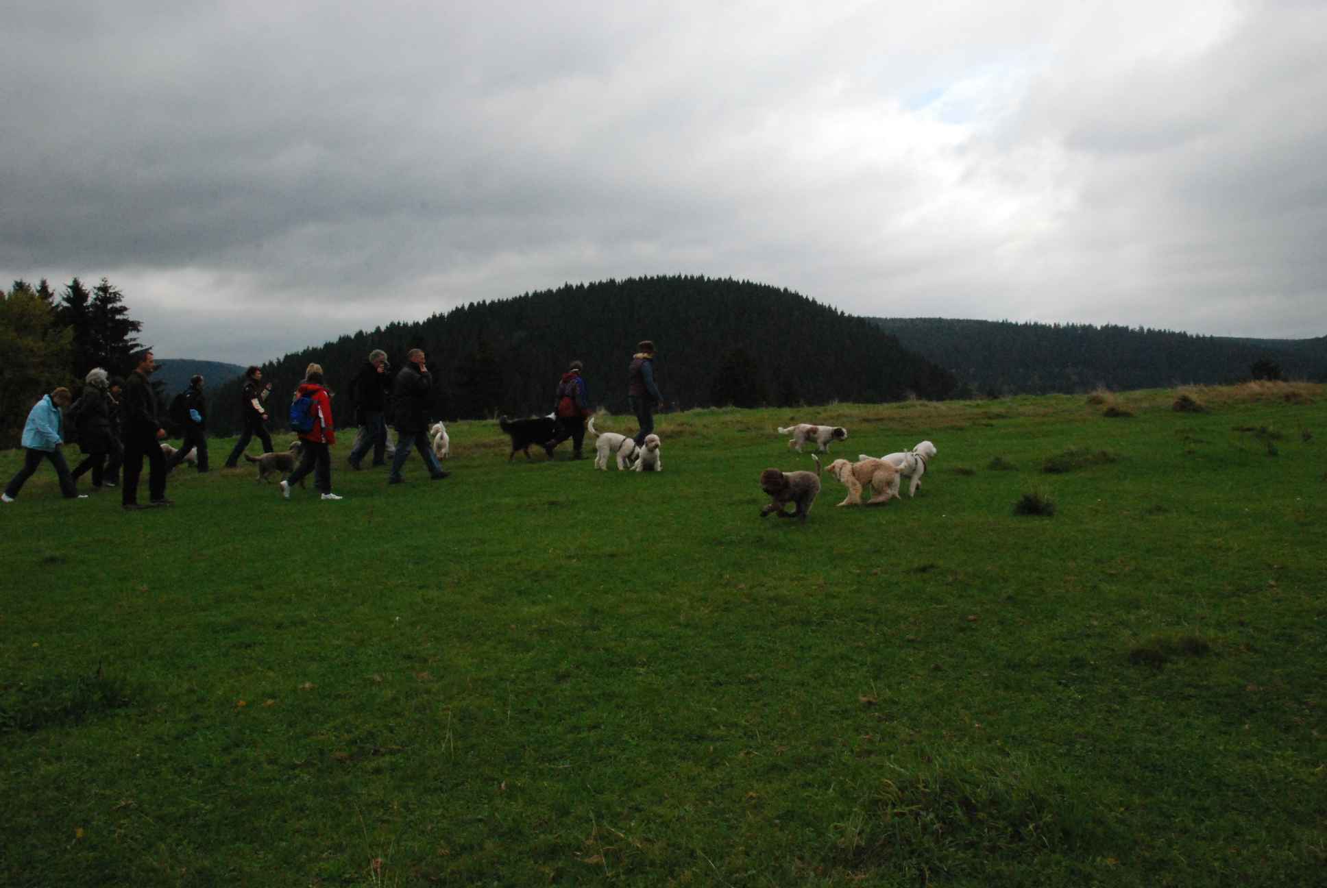 2009-10-03_ntb_9631