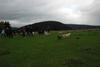 2009-10-03_ntb_9631