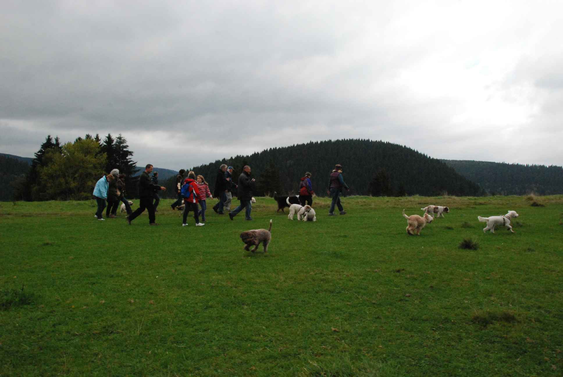 2009-10-03_ntb_9632