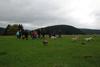 2009-10-03_ntb_9632