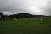 2009-10-03_ntb_9633