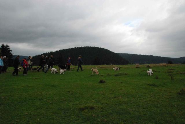 2009-10-03_ntb_9633