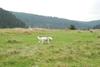 2009-10-03_ntb_9634
