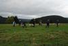 2009-10-03_ntb_9635