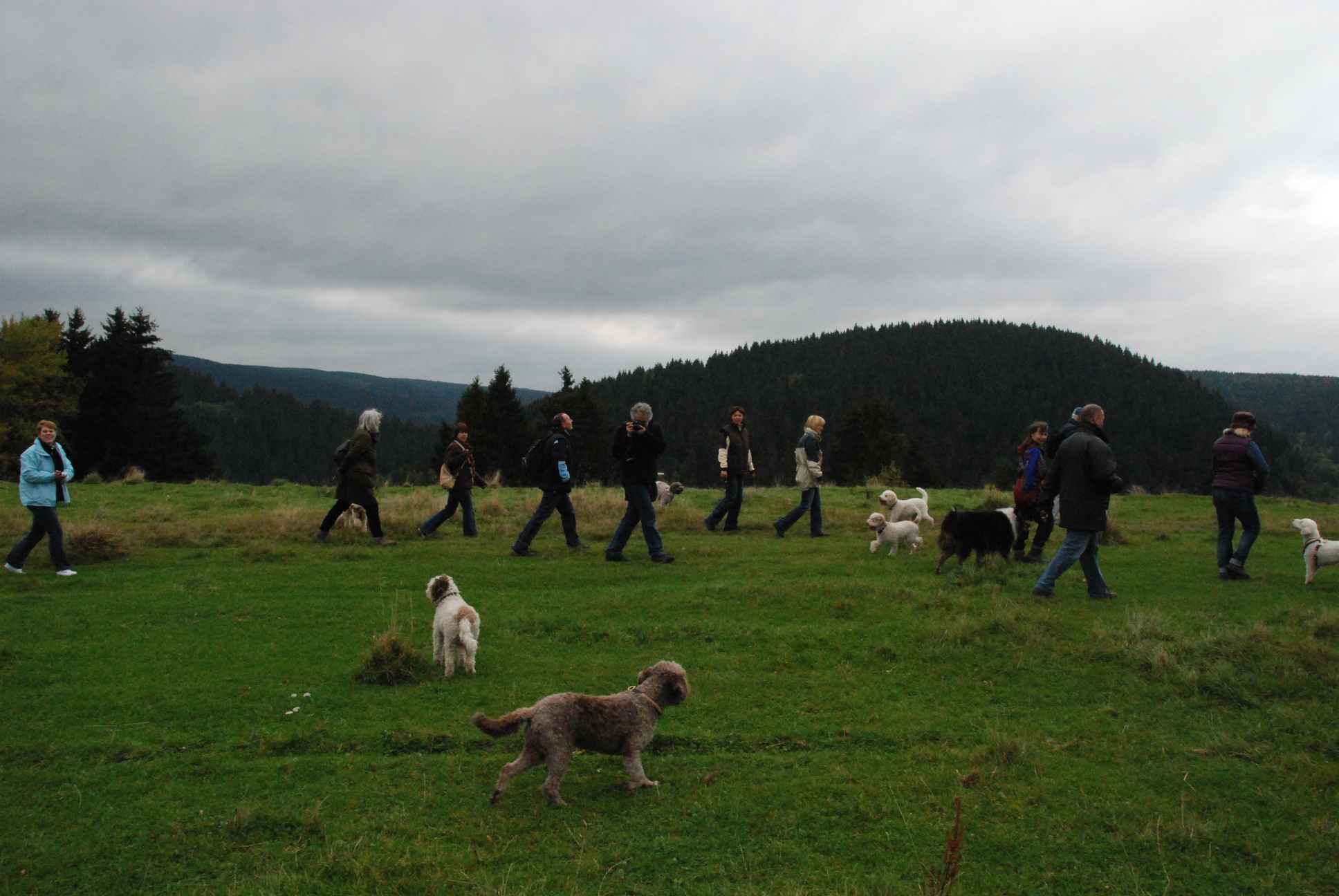 2009-10-03_ntb_9636
