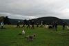 2009-10-03_ntb_9636