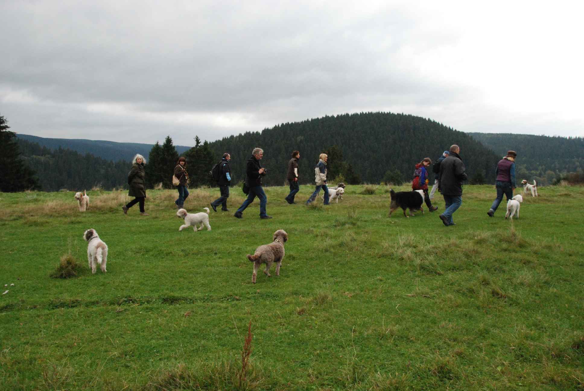 2009-10-03_ntb_9637