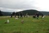 2009-10-03_ntb_9637