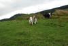 2009-10-03_ntb_9638