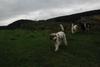 2009-10-03_ntb_9639